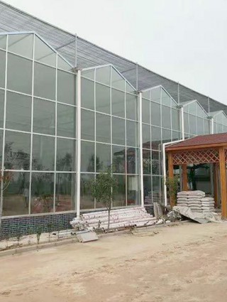 江西省贛州贛縣江口鎮(zhèn)，全玻璃溫室